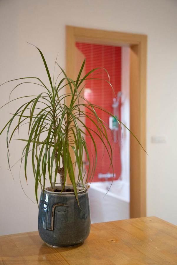 Sava Apartment 노비사드 외부 사진