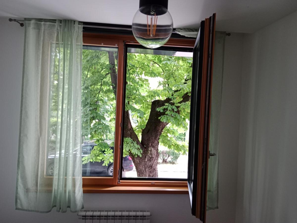 Sava Apartment 노비사드 외부 사진